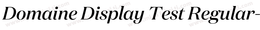 Domaine Display Test Regular字体转换